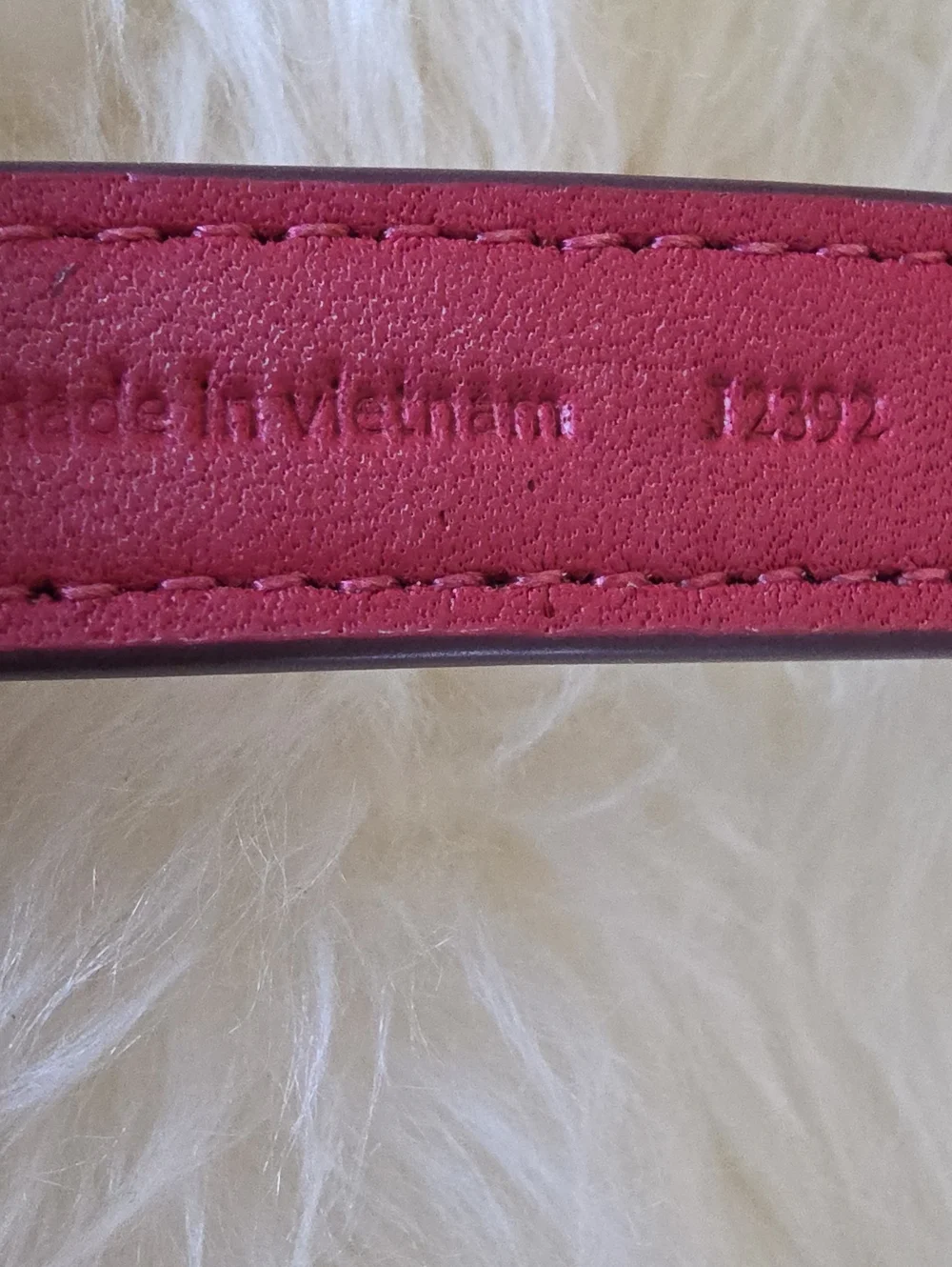 Adorable NWT IOB Coach Brown Signature Small Dog Collar 🤎🍖🖤🐕♥️🐾🎁